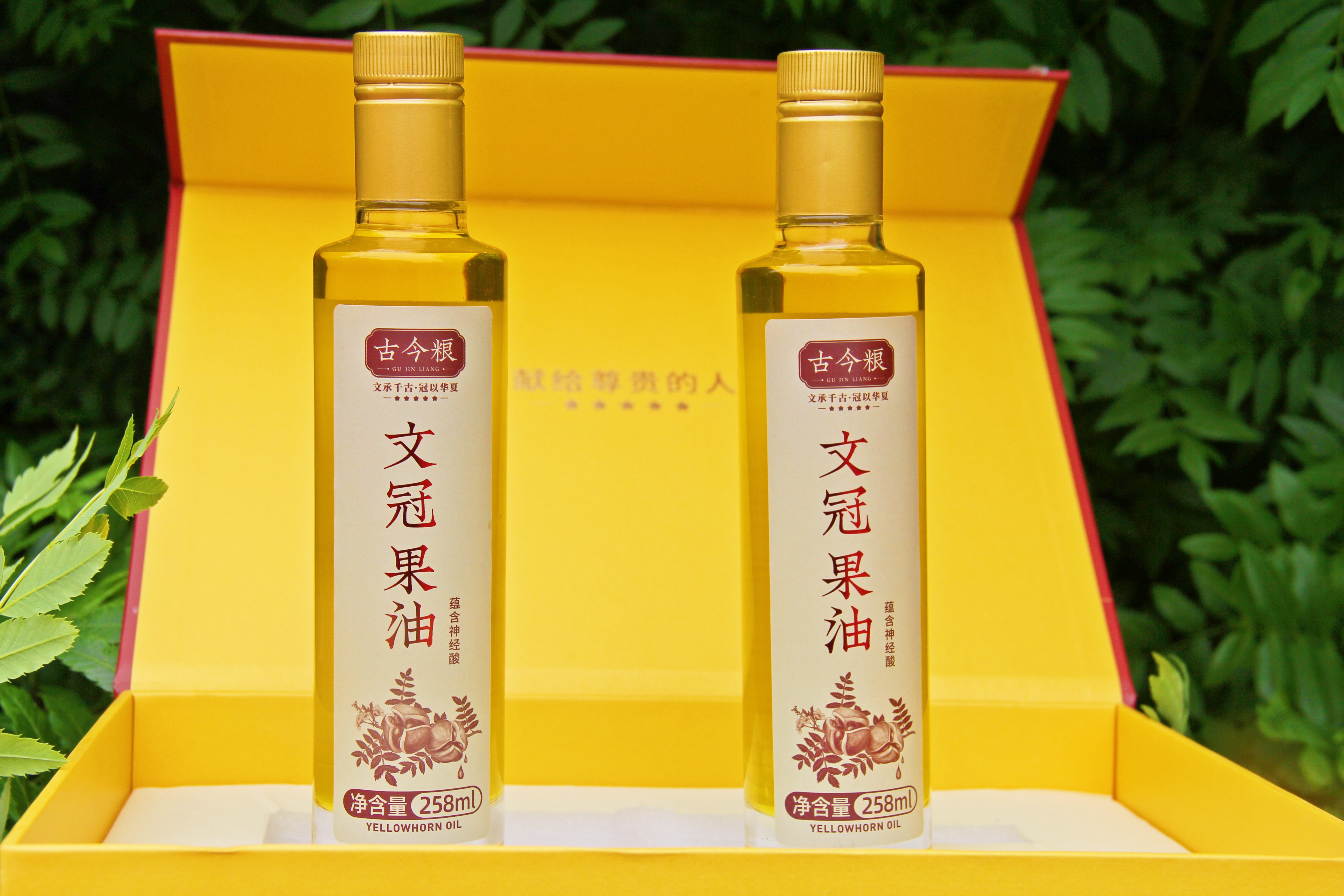 文冠果油