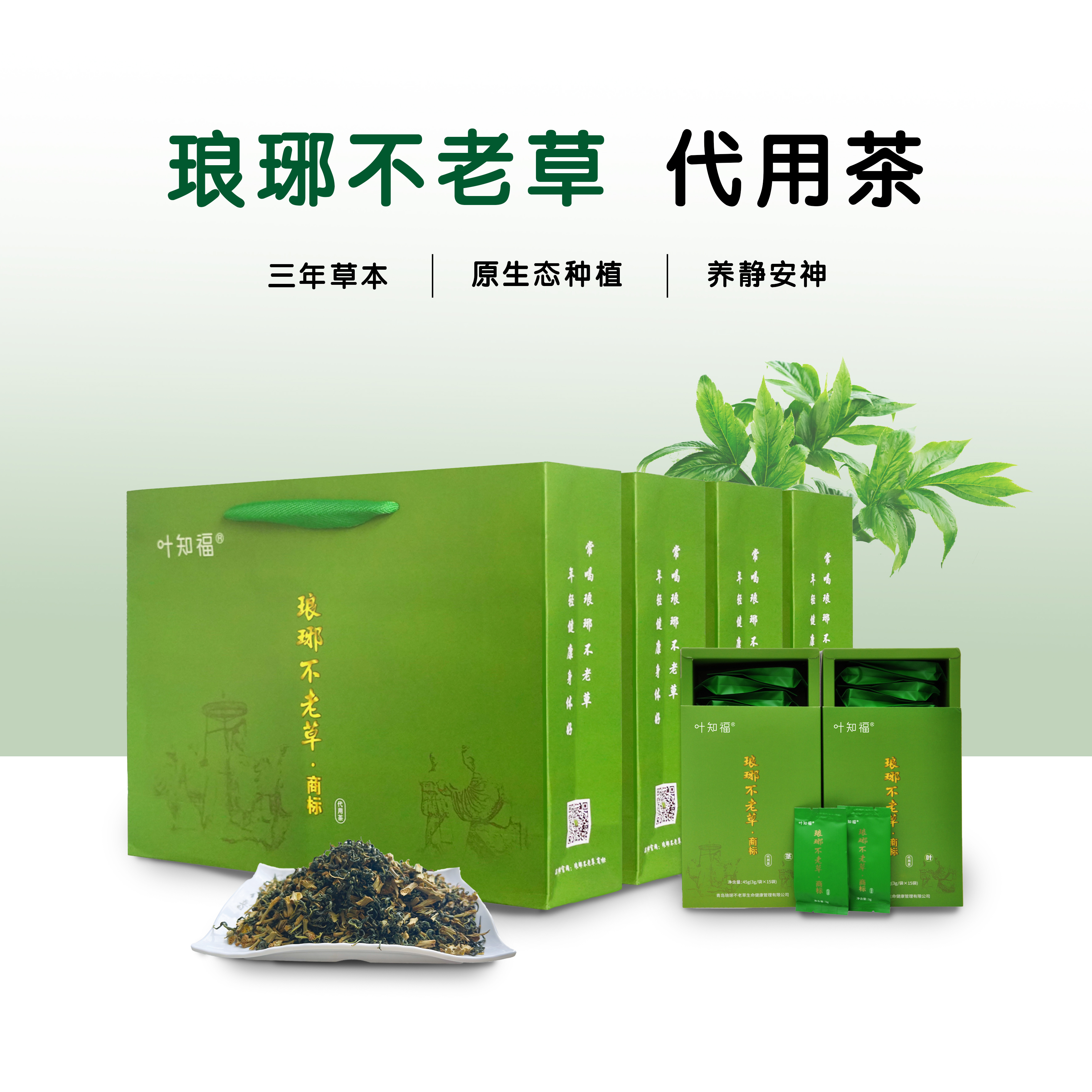 明日叶茶
